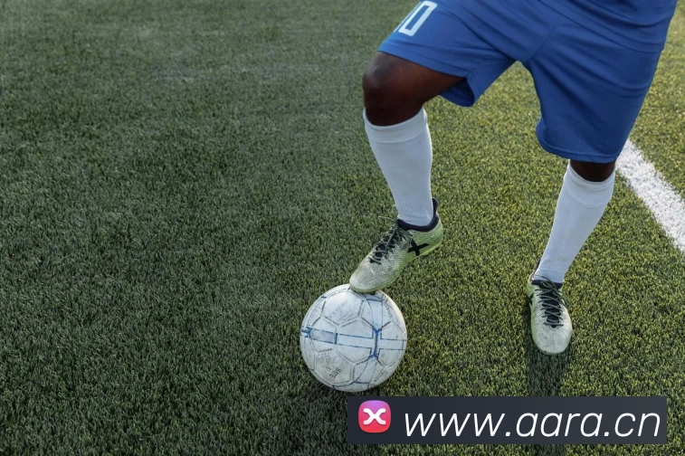 leyu乐鱼在线体育发展历程